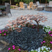 Blue Thumb copper creeping Japanese maple fountain kit