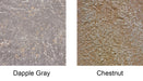GFRC rock color options