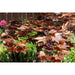 Copper Japanese maple tree fountain kit
