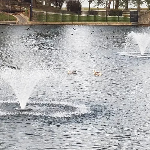 Vanguard Typhoon Floating Display Aerator