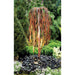 Copper weeping willow tree fountains short and tall